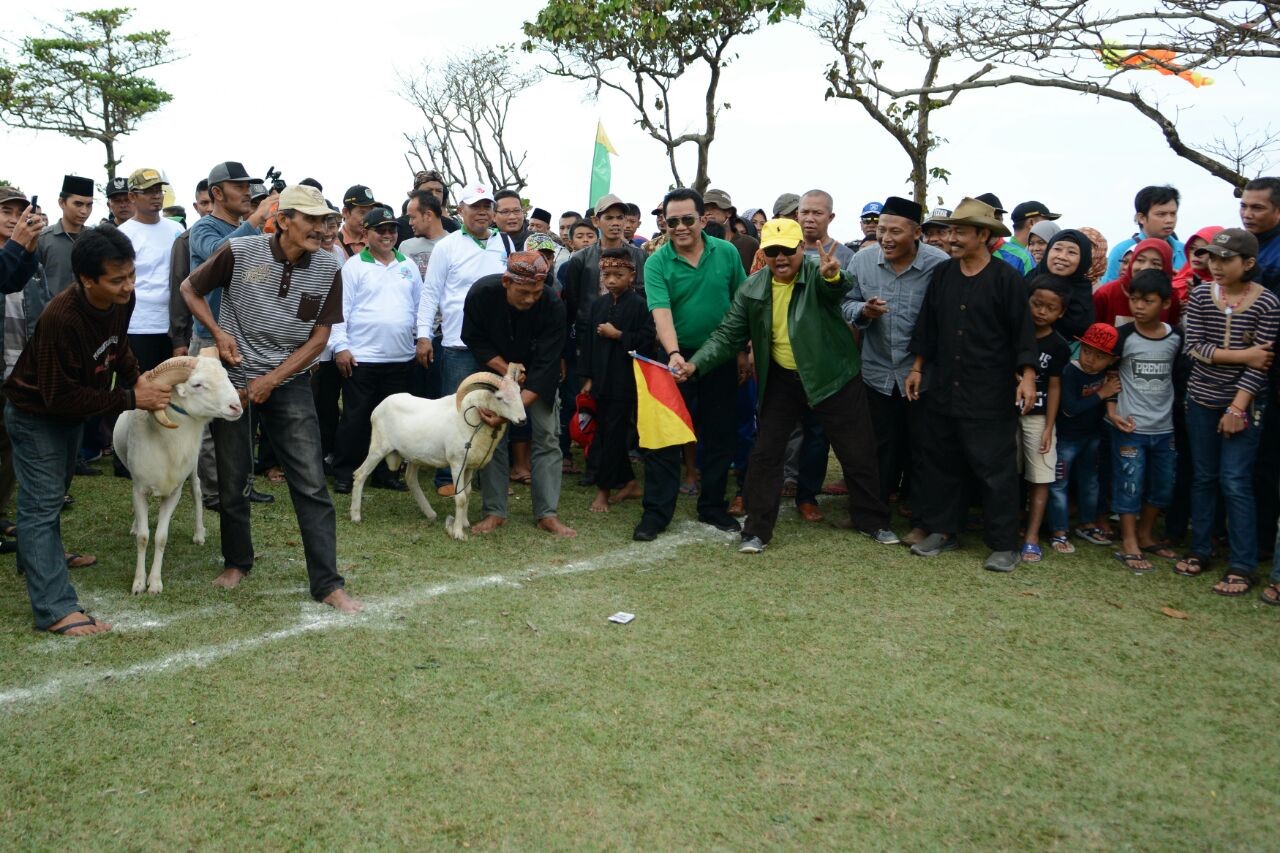BUPATI TASIKMALAYA BUKA ACARA FESTIVAL LAYANG-LAYANG,  BALAP DOMBA, BALAP KEBO