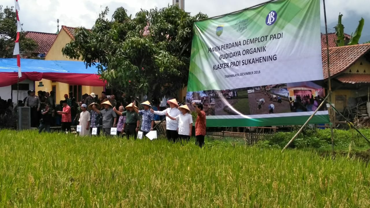PANEN PERDANA PADI DEMPLOT DI DESA SUKAKERTA KECAMATAN SUKAHENING