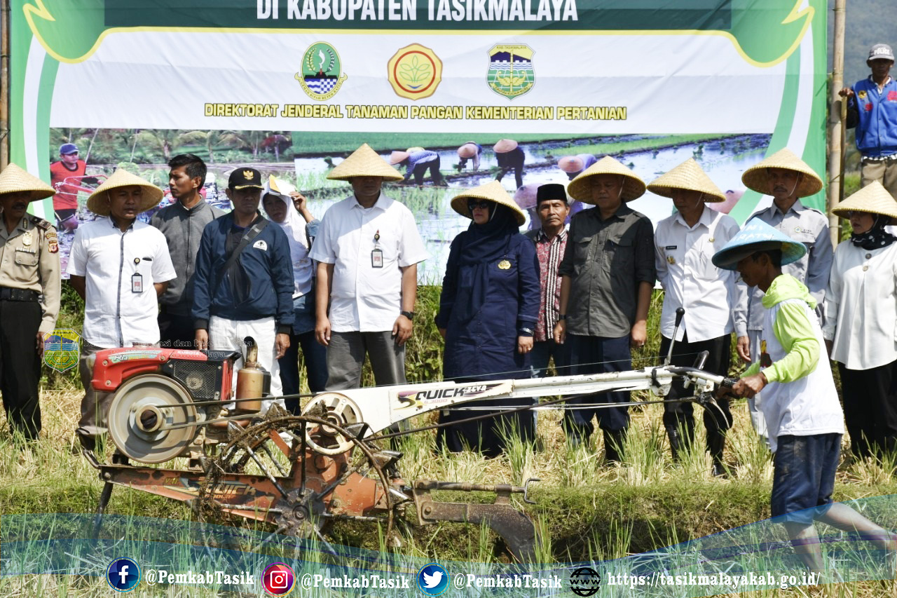 KEMARAU PANJANG, PEMKAB TASIKMALAYA PERCEPAT OLAH TANAH DAN TANAM PADI