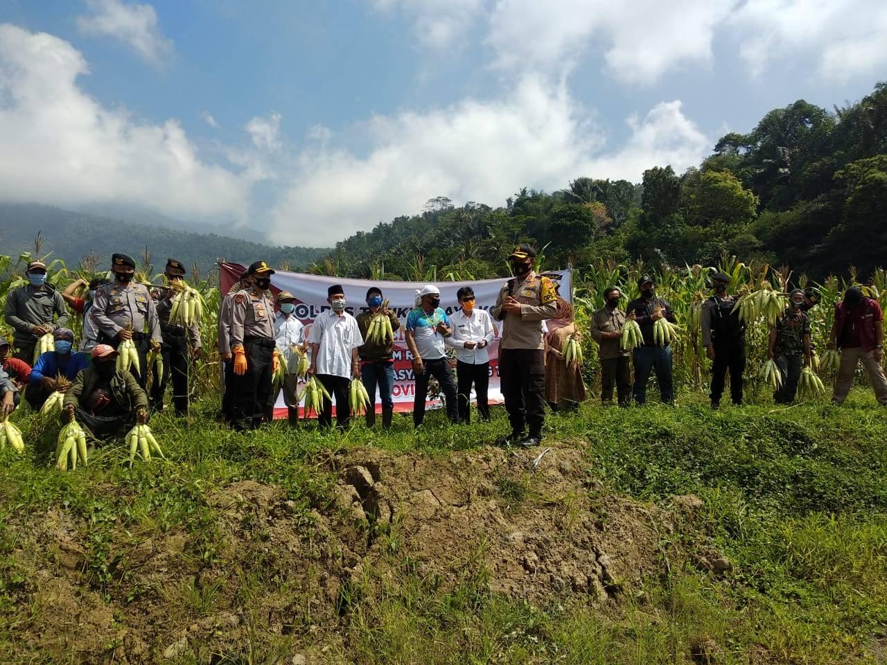 PEMKAB TASIKMALAYA DAN POLRES TASIKMALAYA KOTA MELAKSANAKAN PANEN RAYA JAGUNG