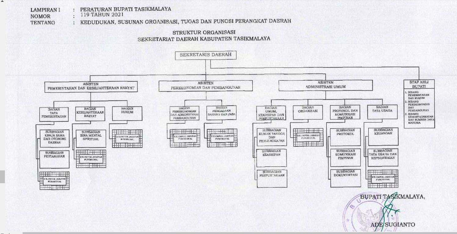 STRUKTUR ORGANISASI