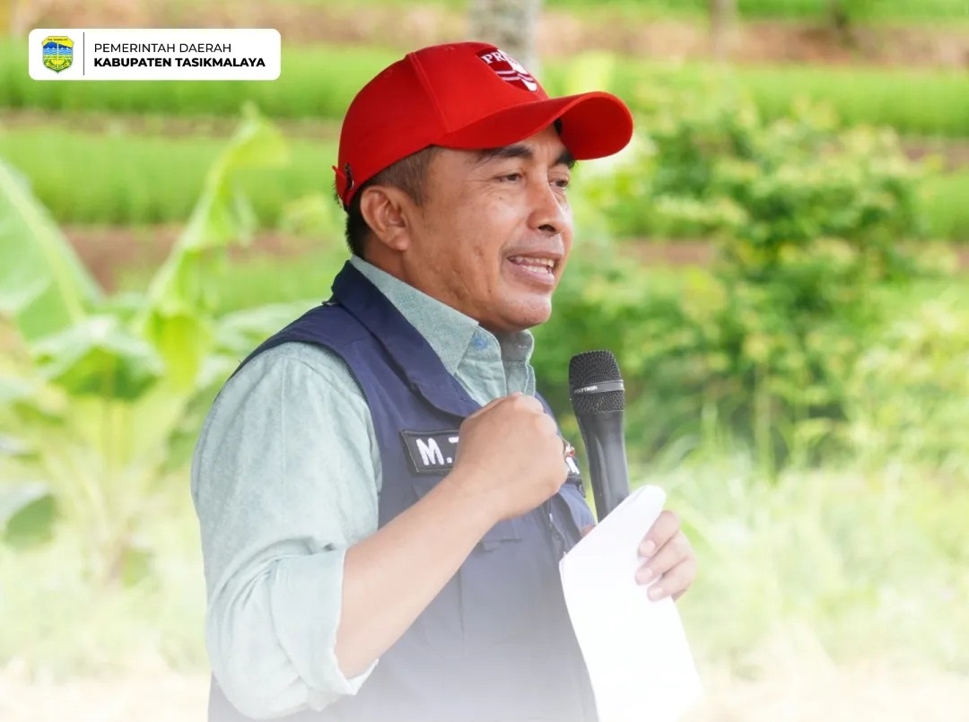 Sekda Zen Panen Padi Organik Bersama Petani Di Cipatujah